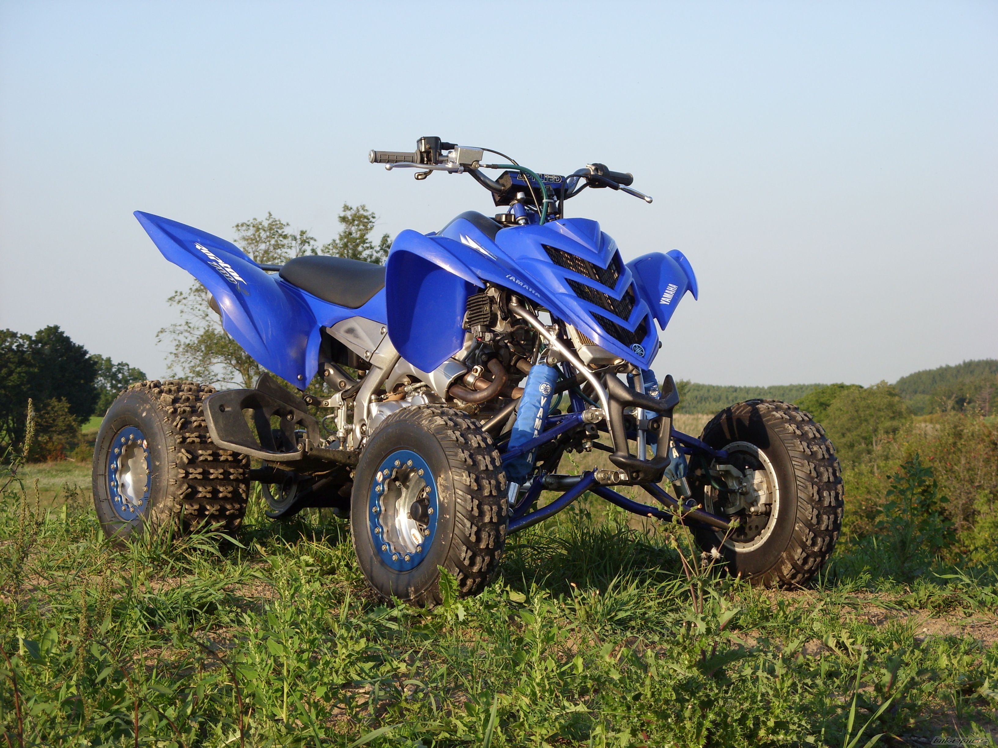 Photo 1787988