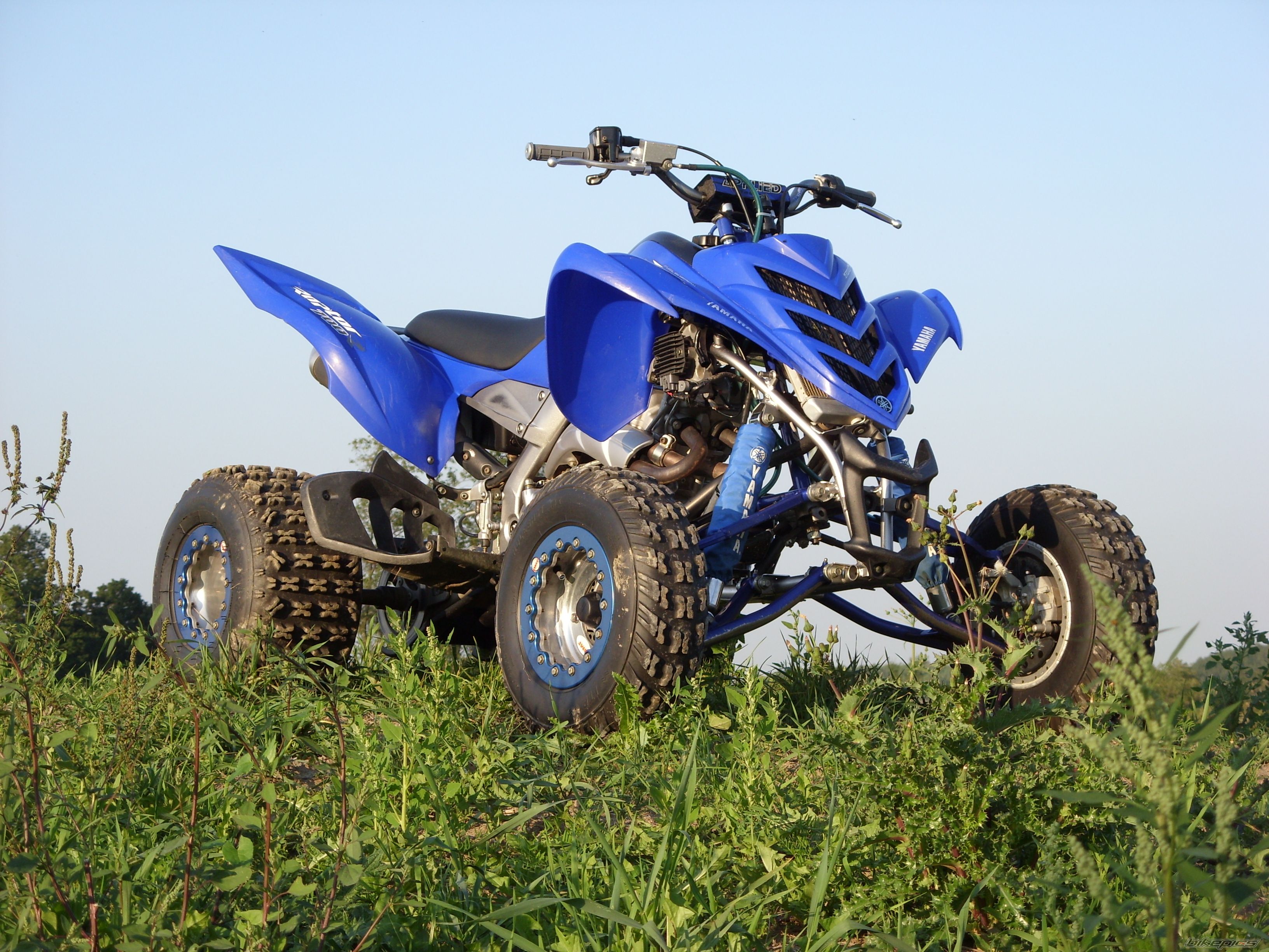 Photo 1787991