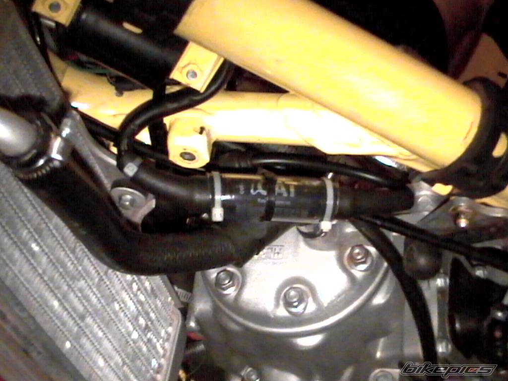 Photo 178824