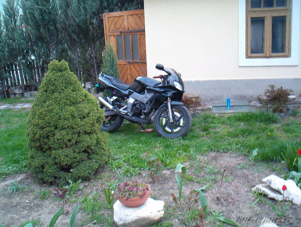Photo 178854