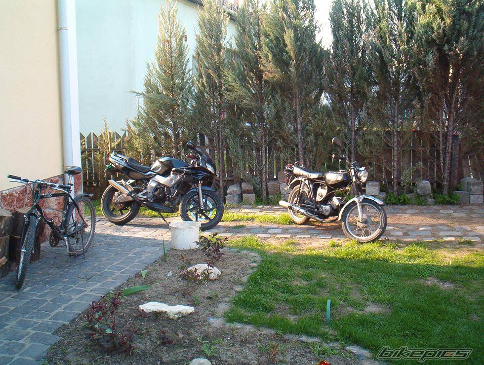 Photo 178857