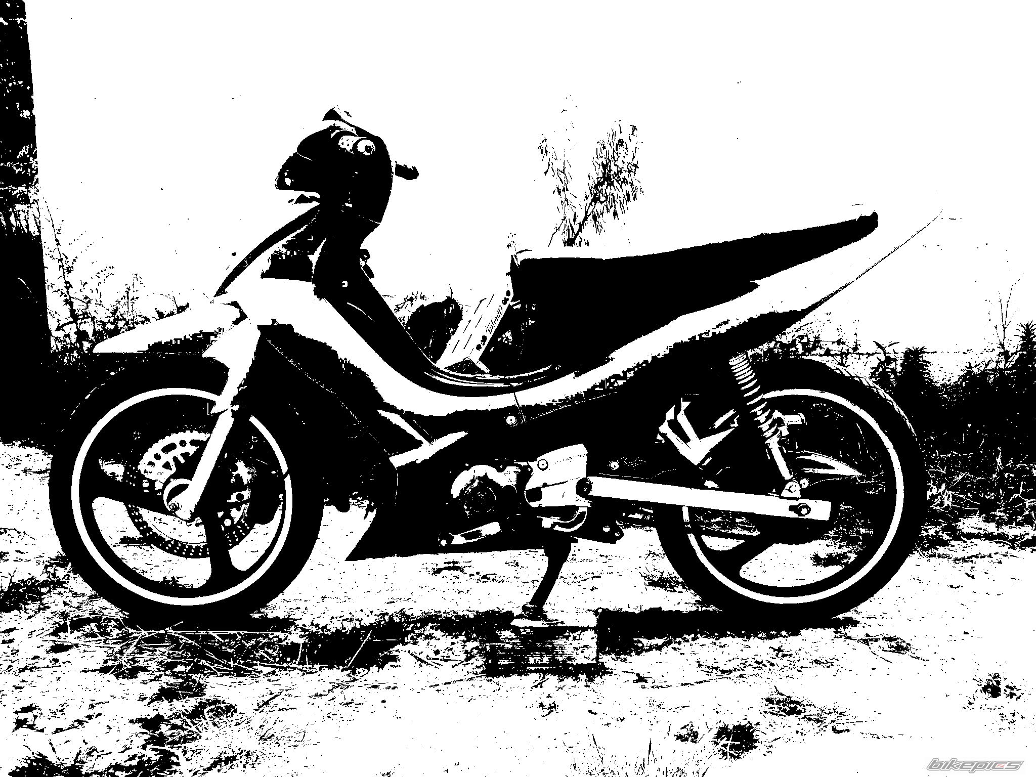 Photo 1788629