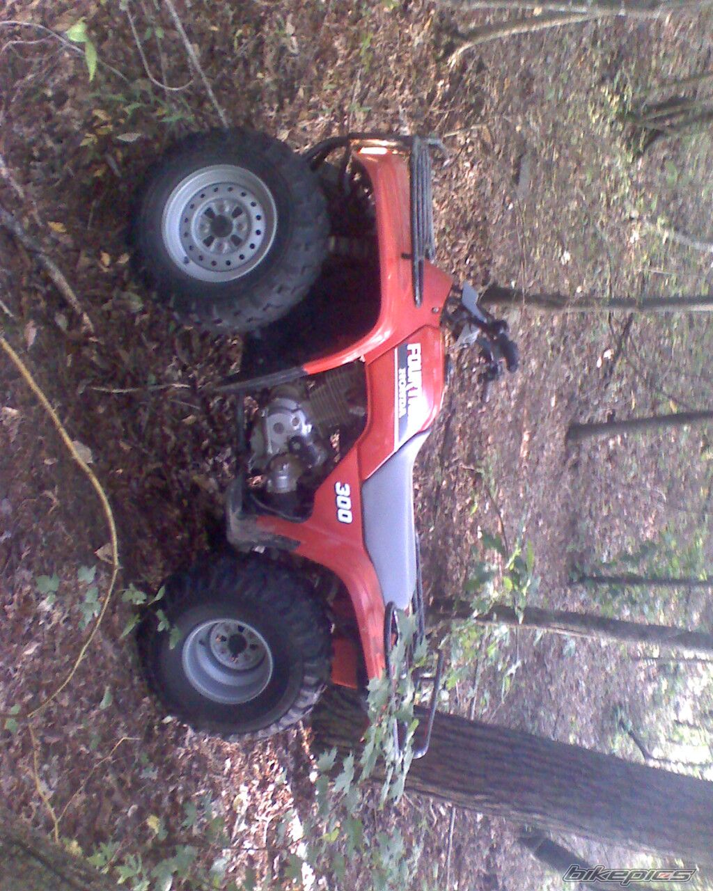 Photo 1788632