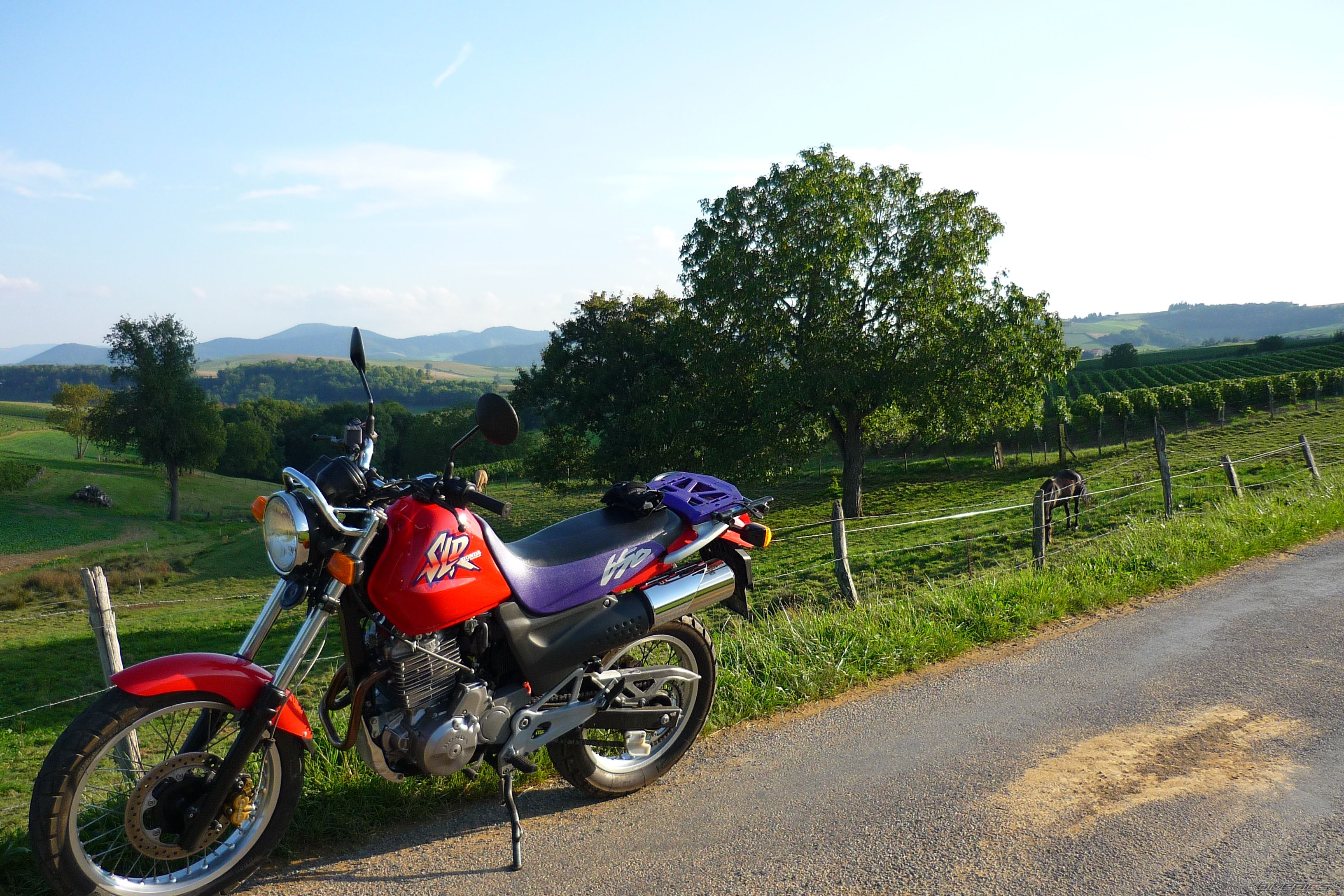 Photo 1788662