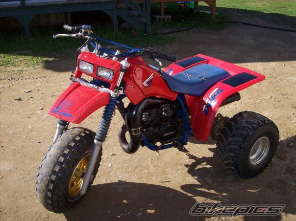 Photo 1788731