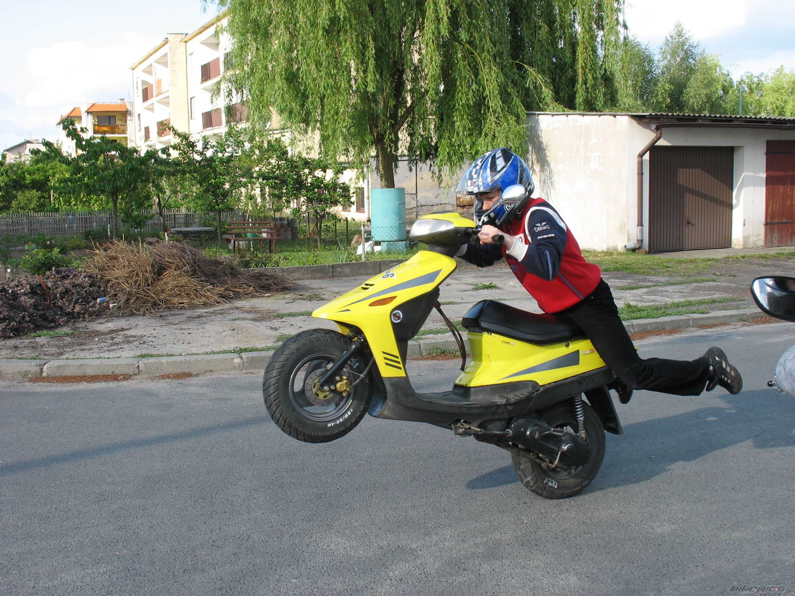 Photo 1789308
