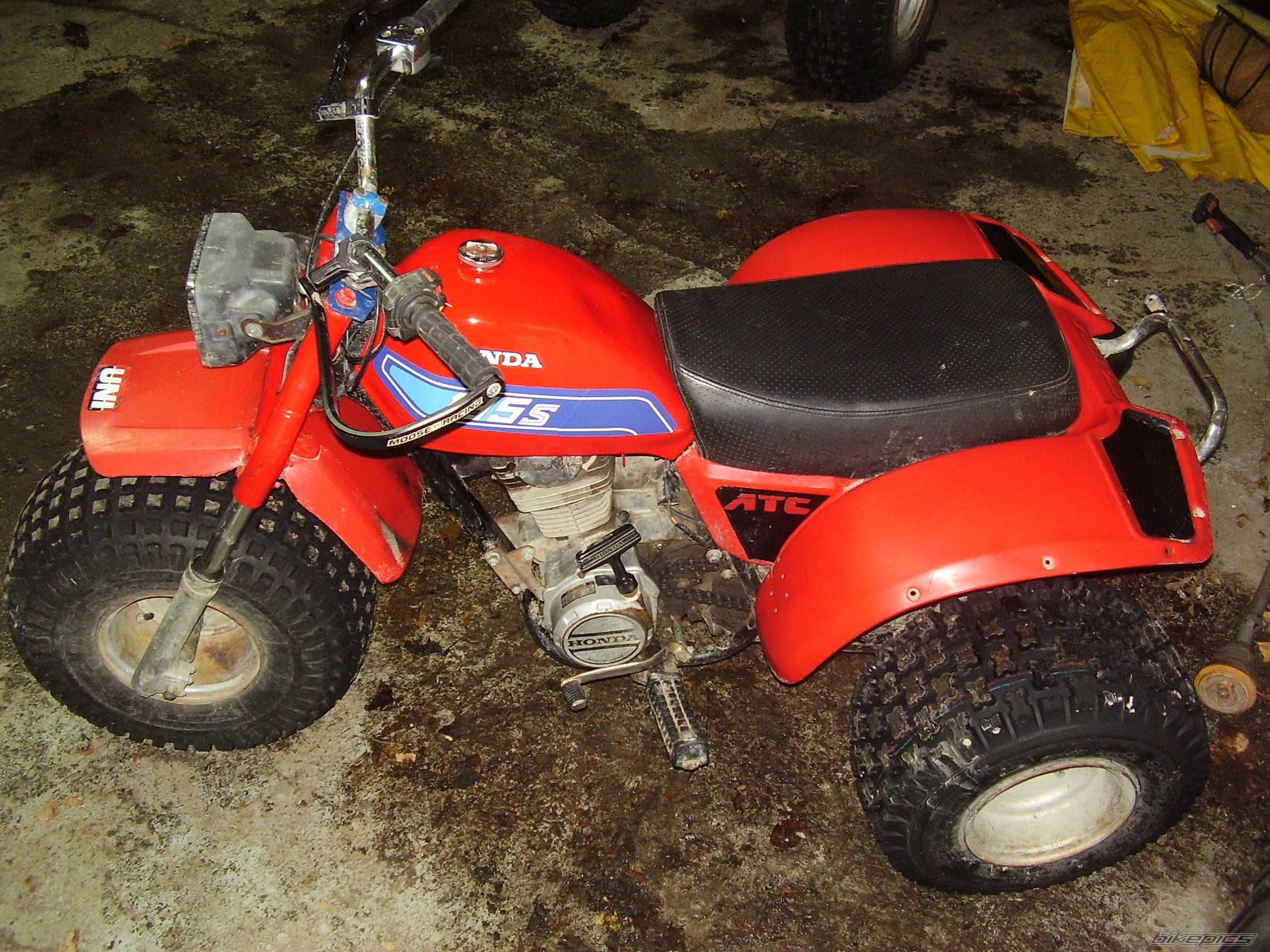 Photo 1789427