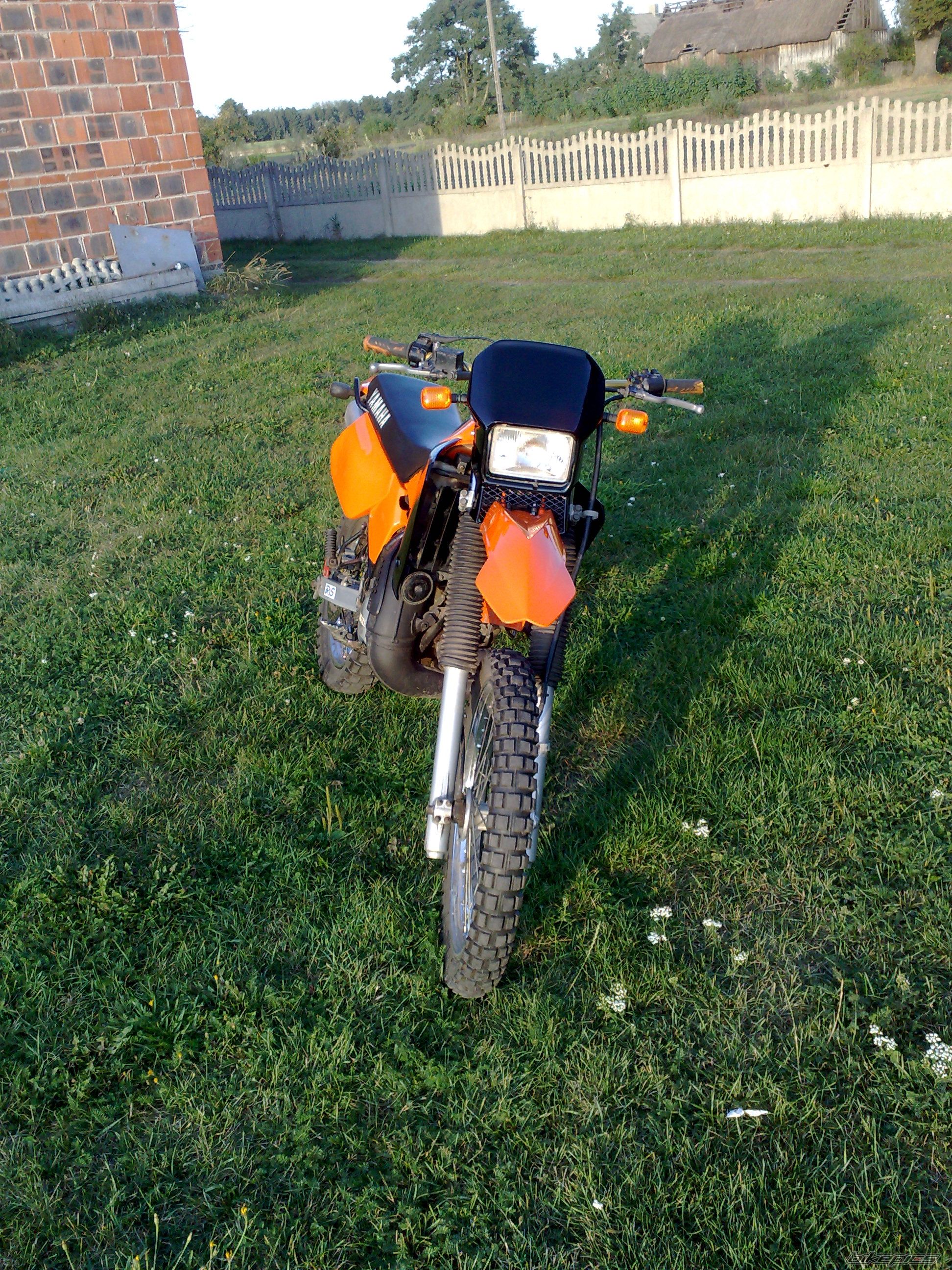 Photo 1789724