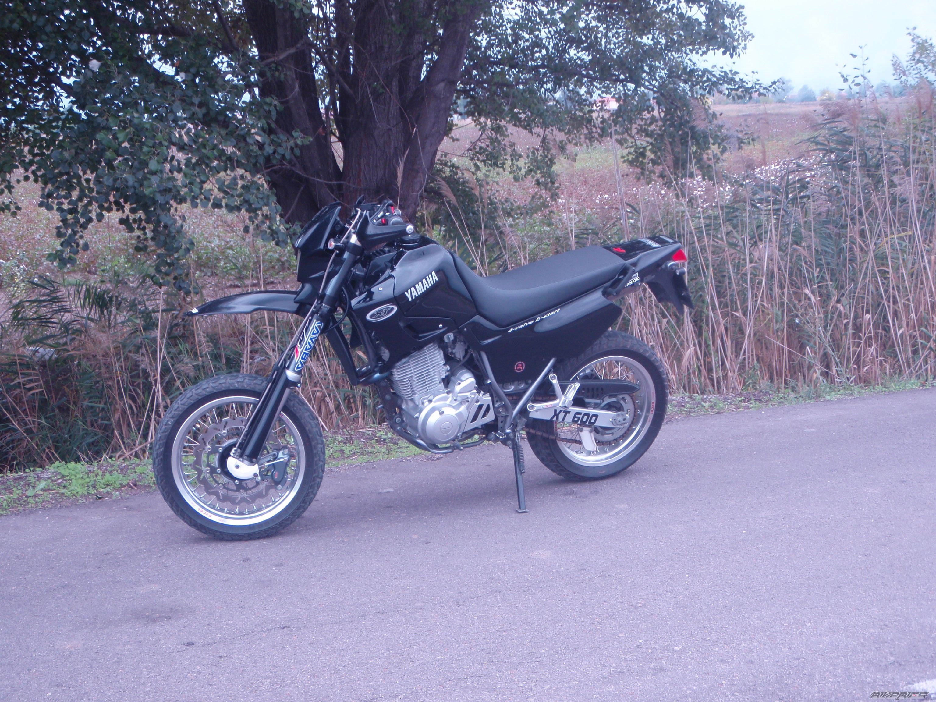 Photo 1789764