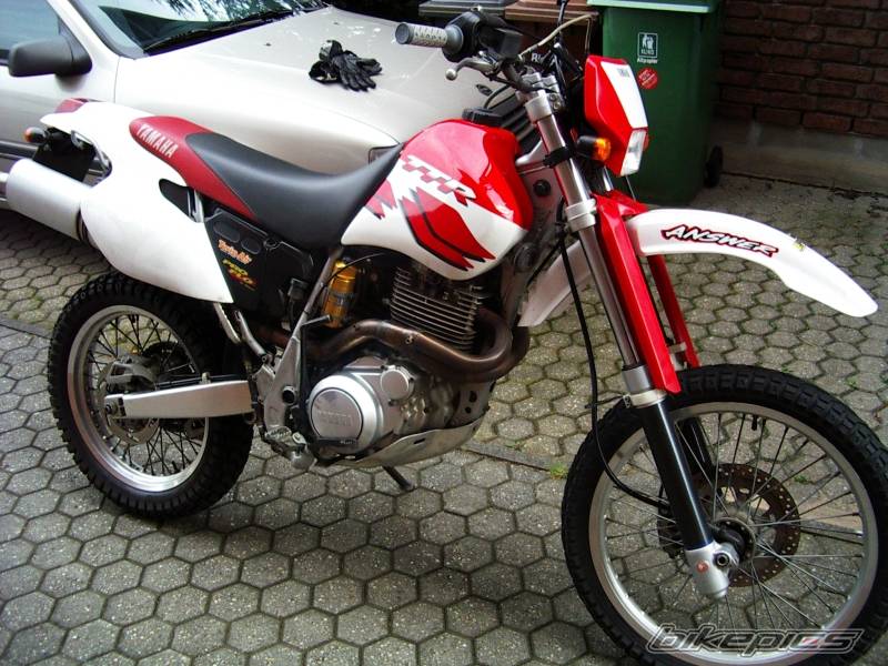 Photo 178977
