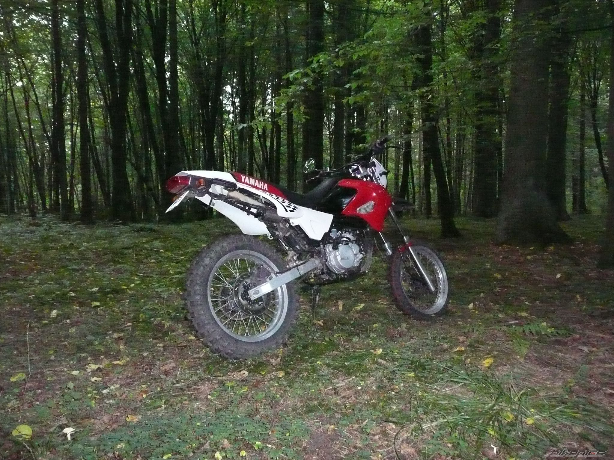 Photo 1789824