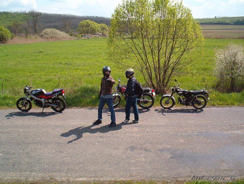 Photo 179014