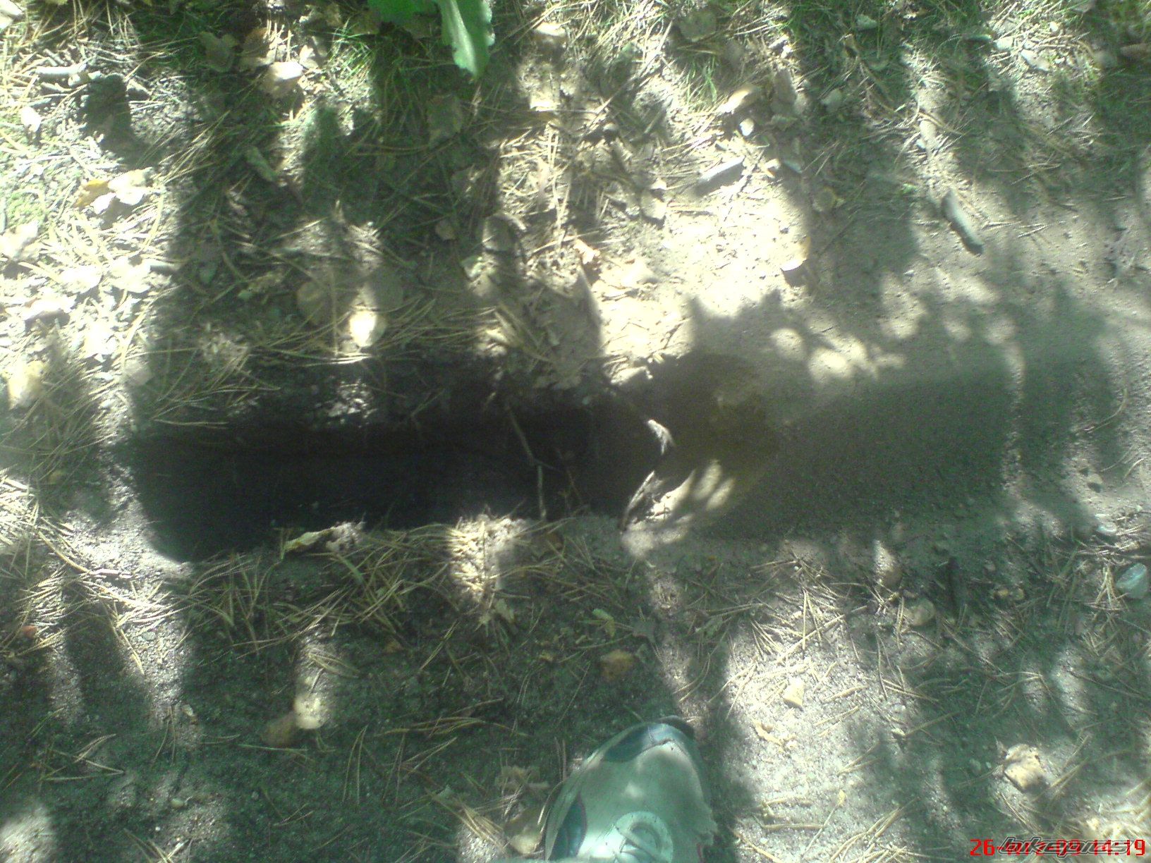 Photo 1790164