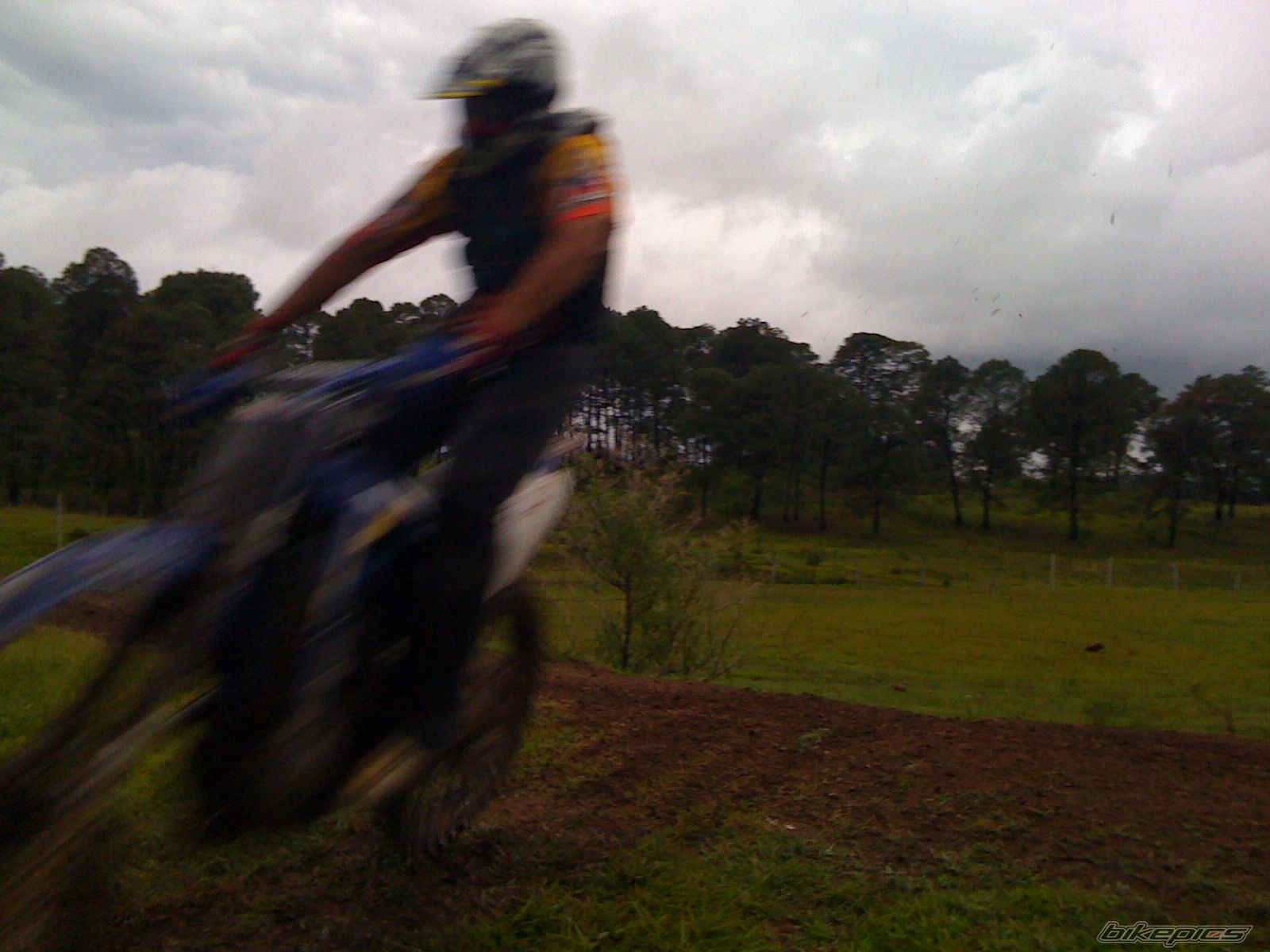 Photo 1790319