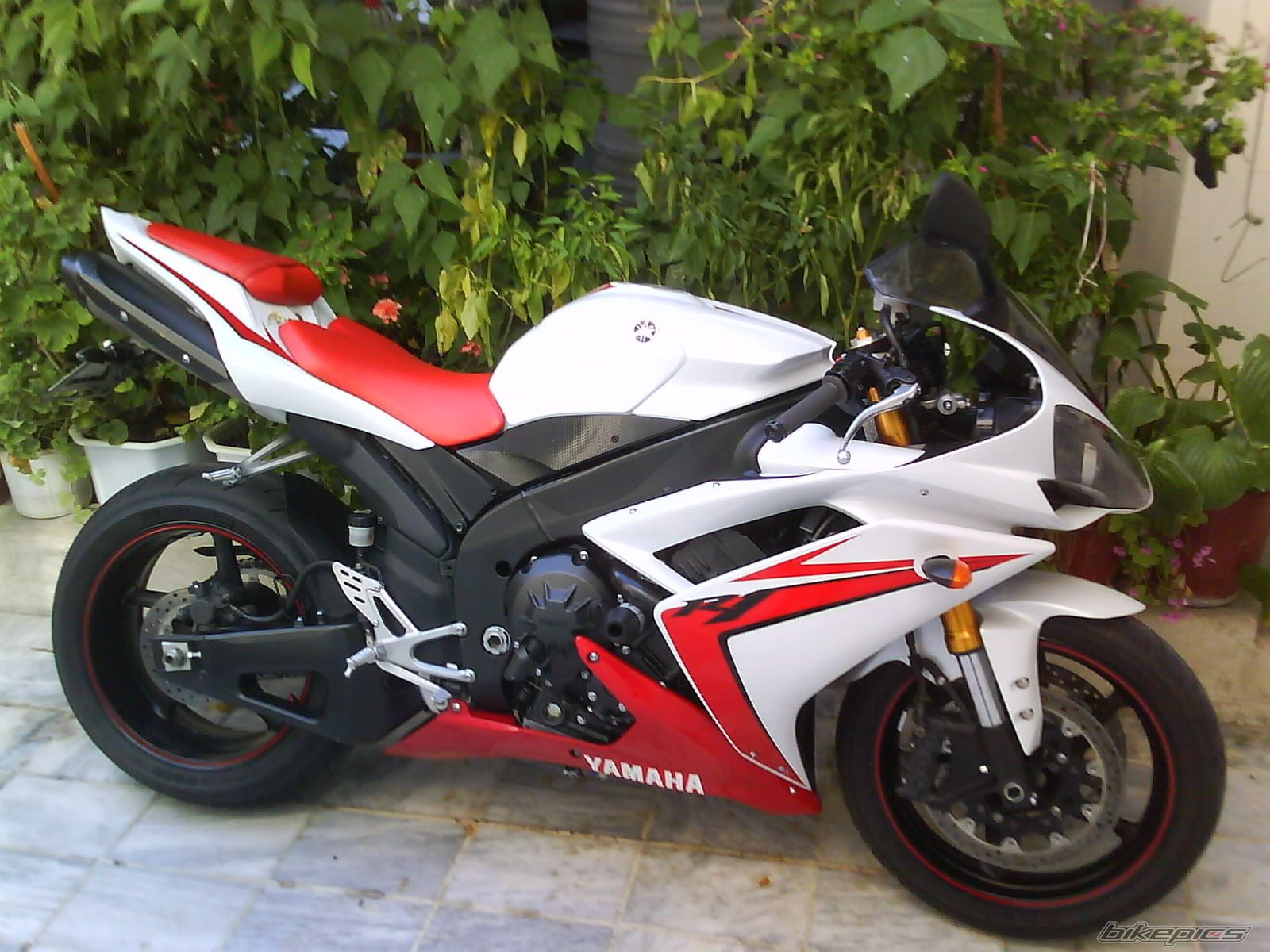 Bike Photo 1790524