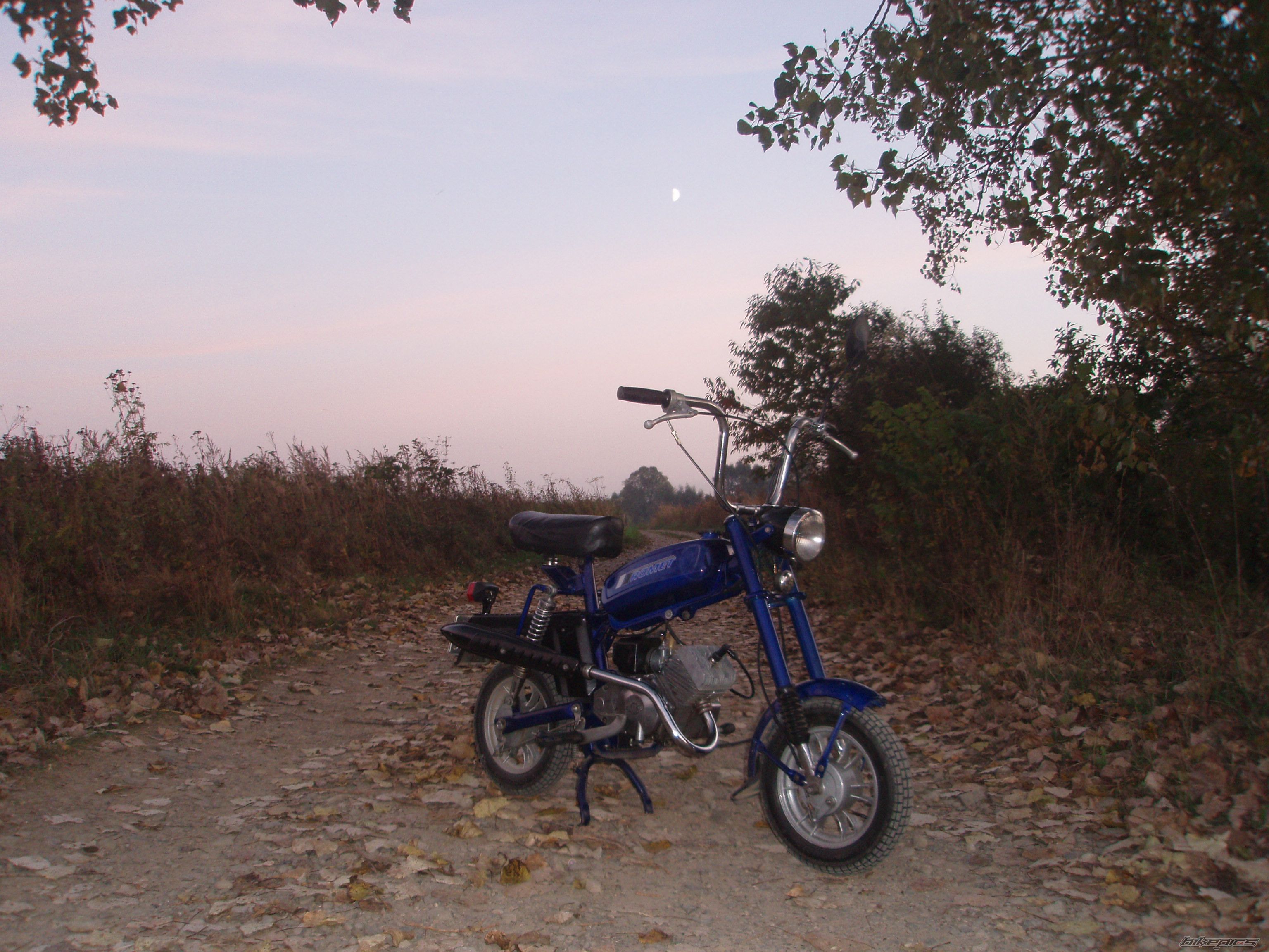 Photo 1790768