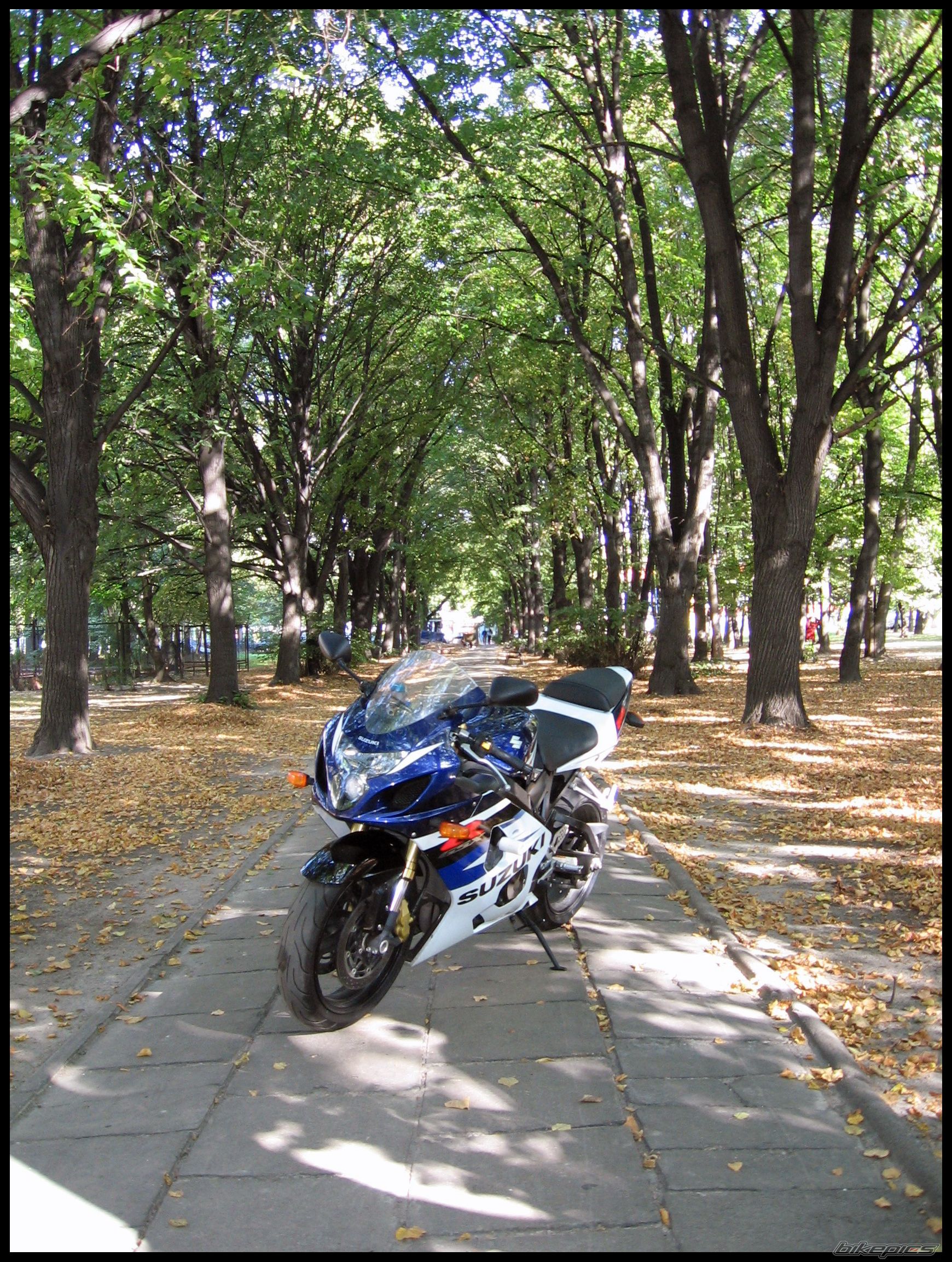Bike Photo 1790913