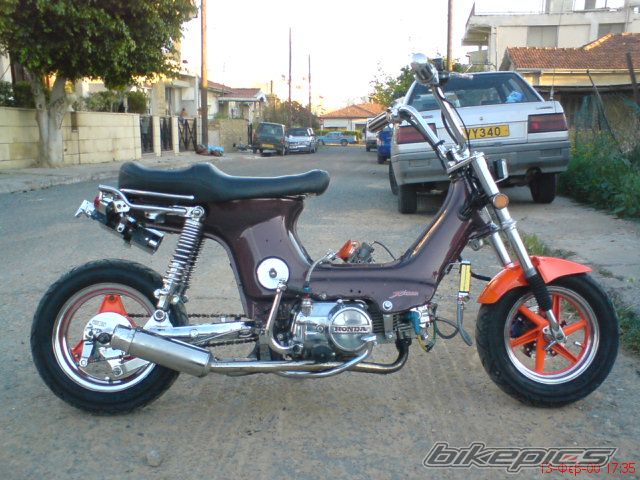 Photo 1790920