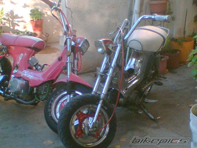 Photo 1790936