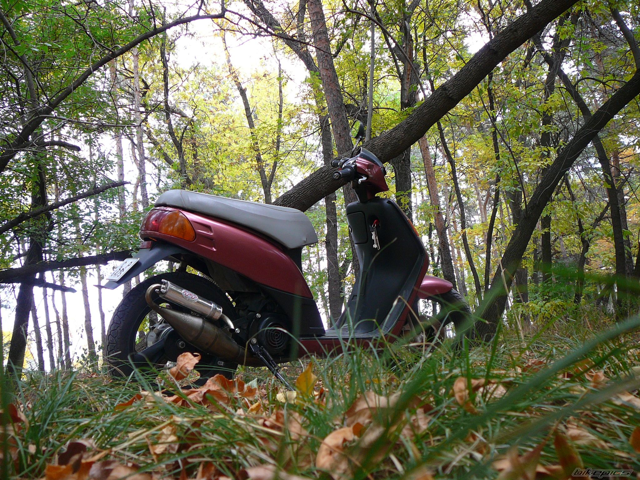 Bike Photo 1791119