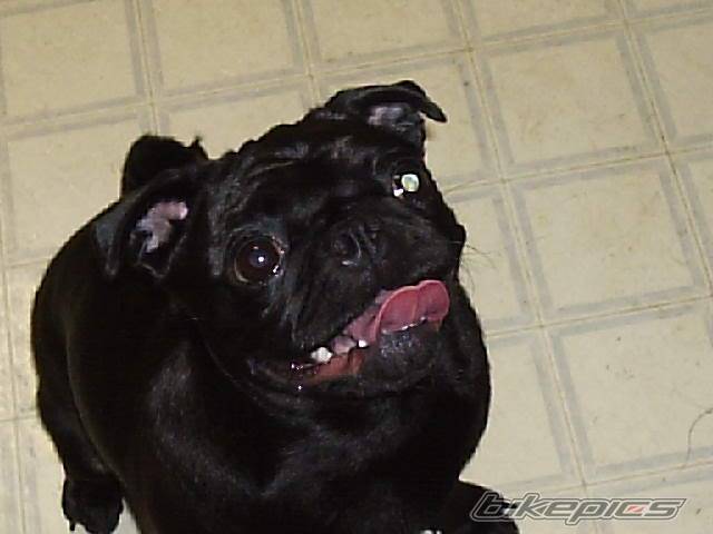 Photo 179173