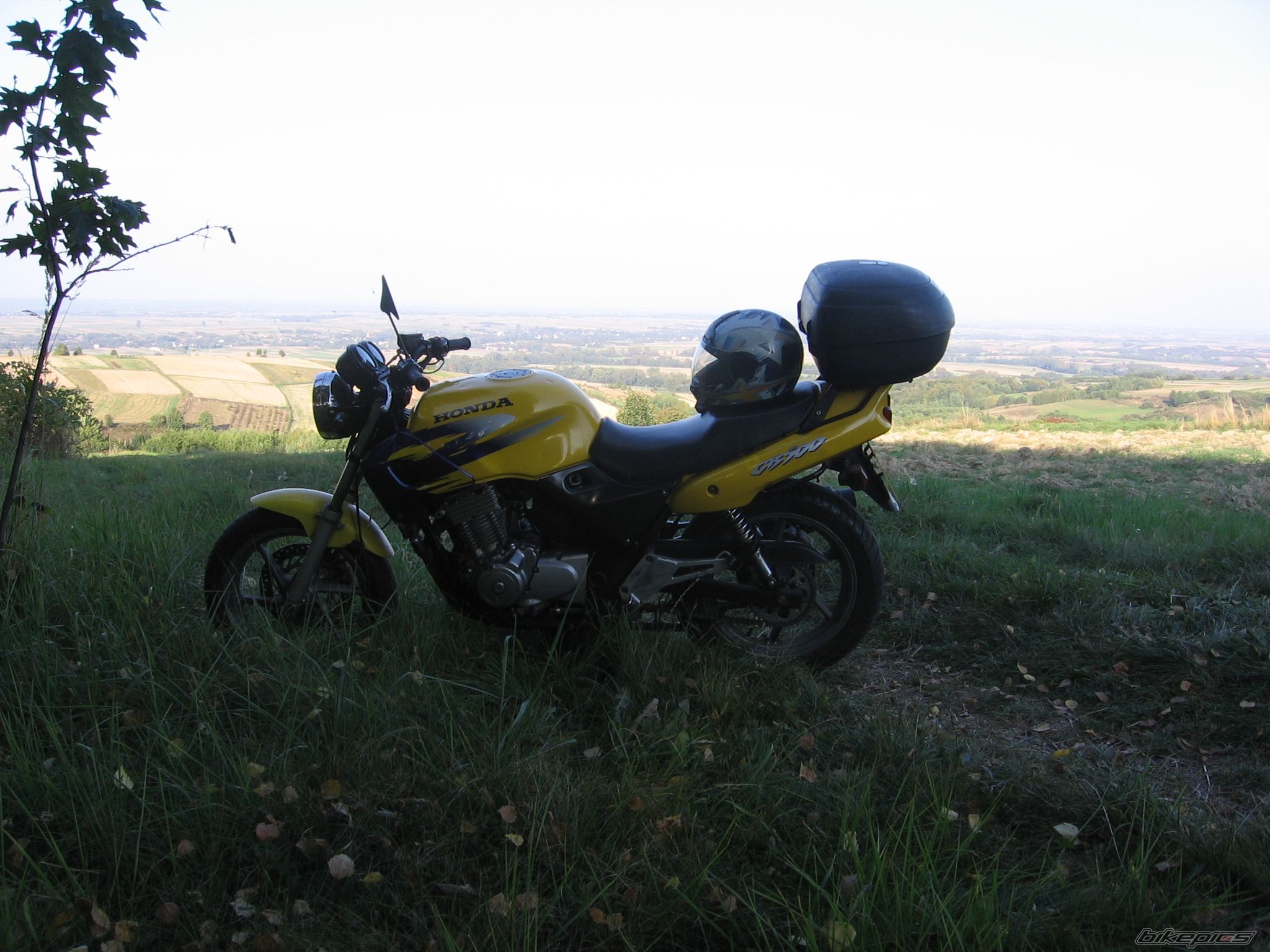 Photo 1791784