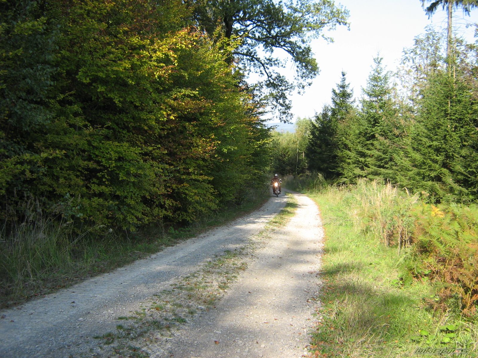Photo 1791852