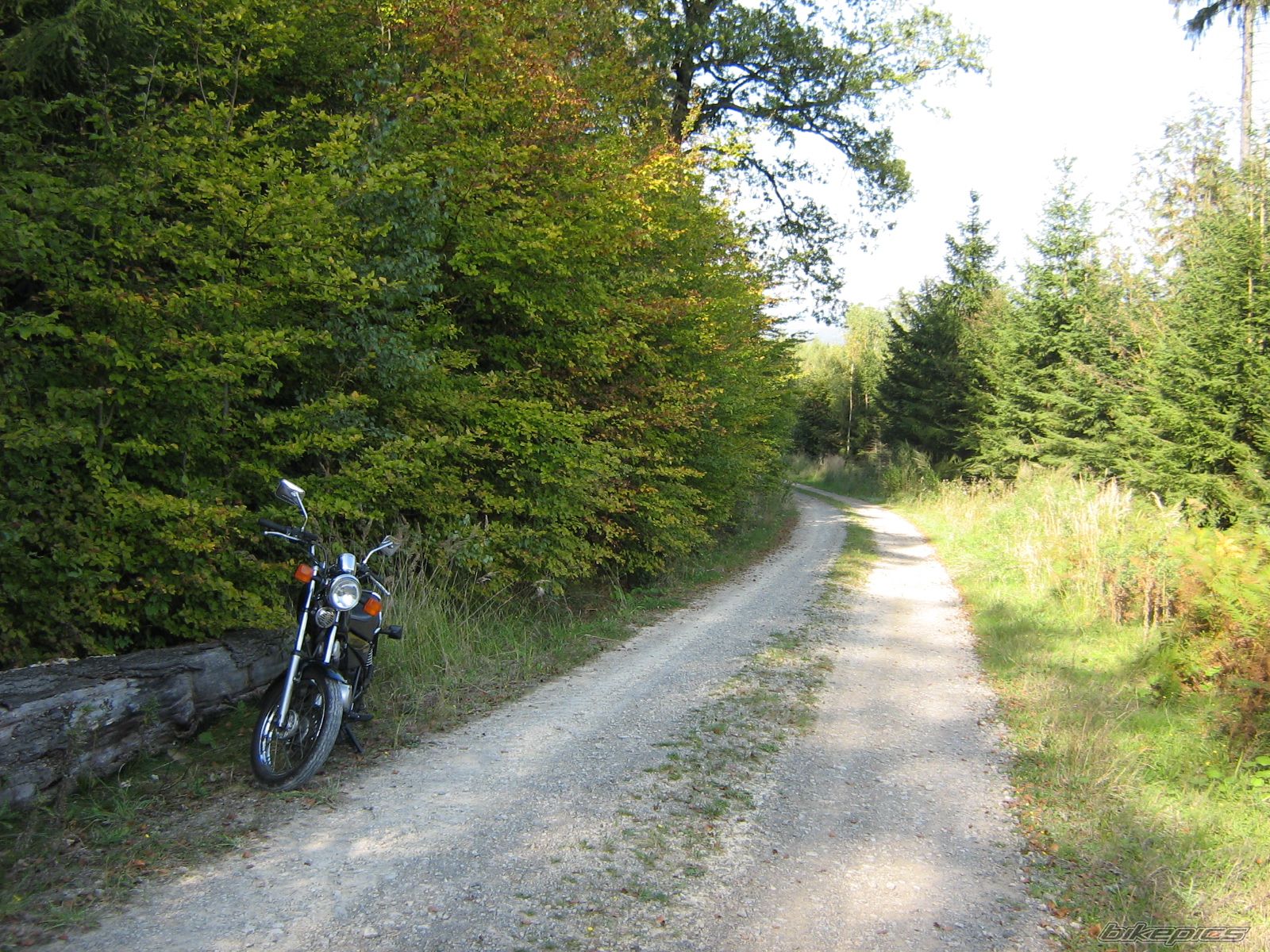 Photo 1791855