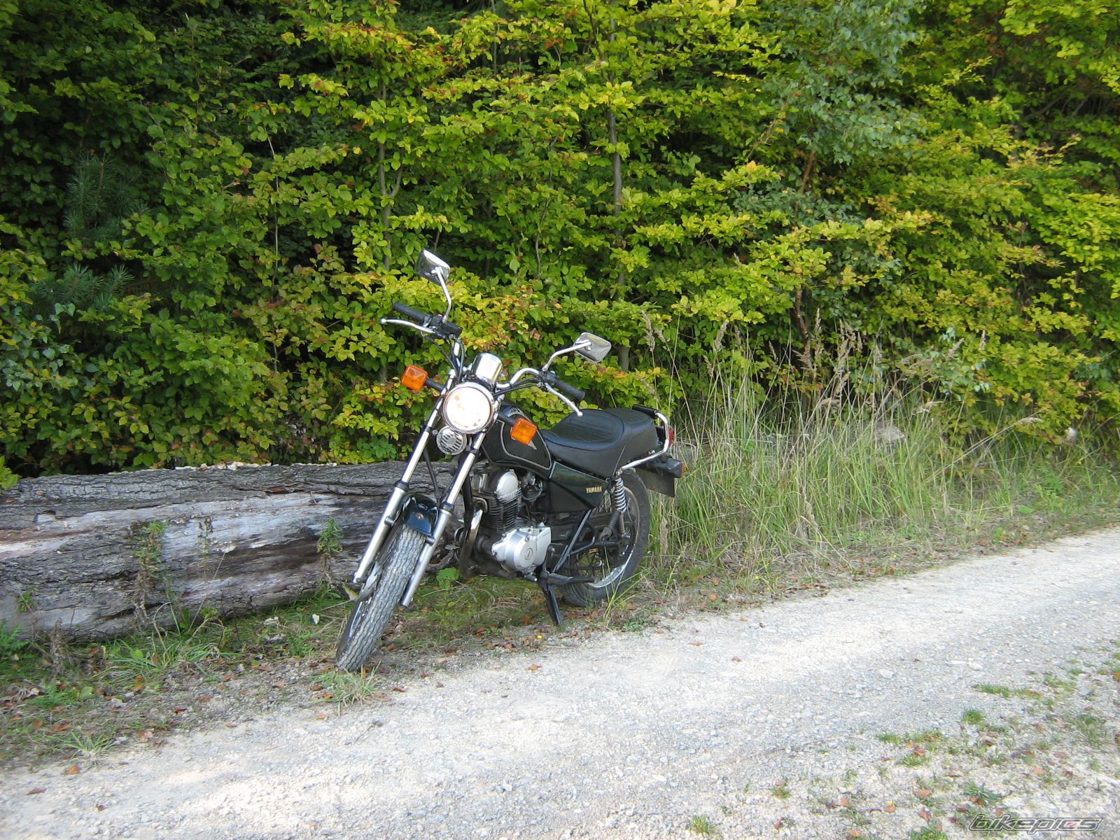 Photo 1791856