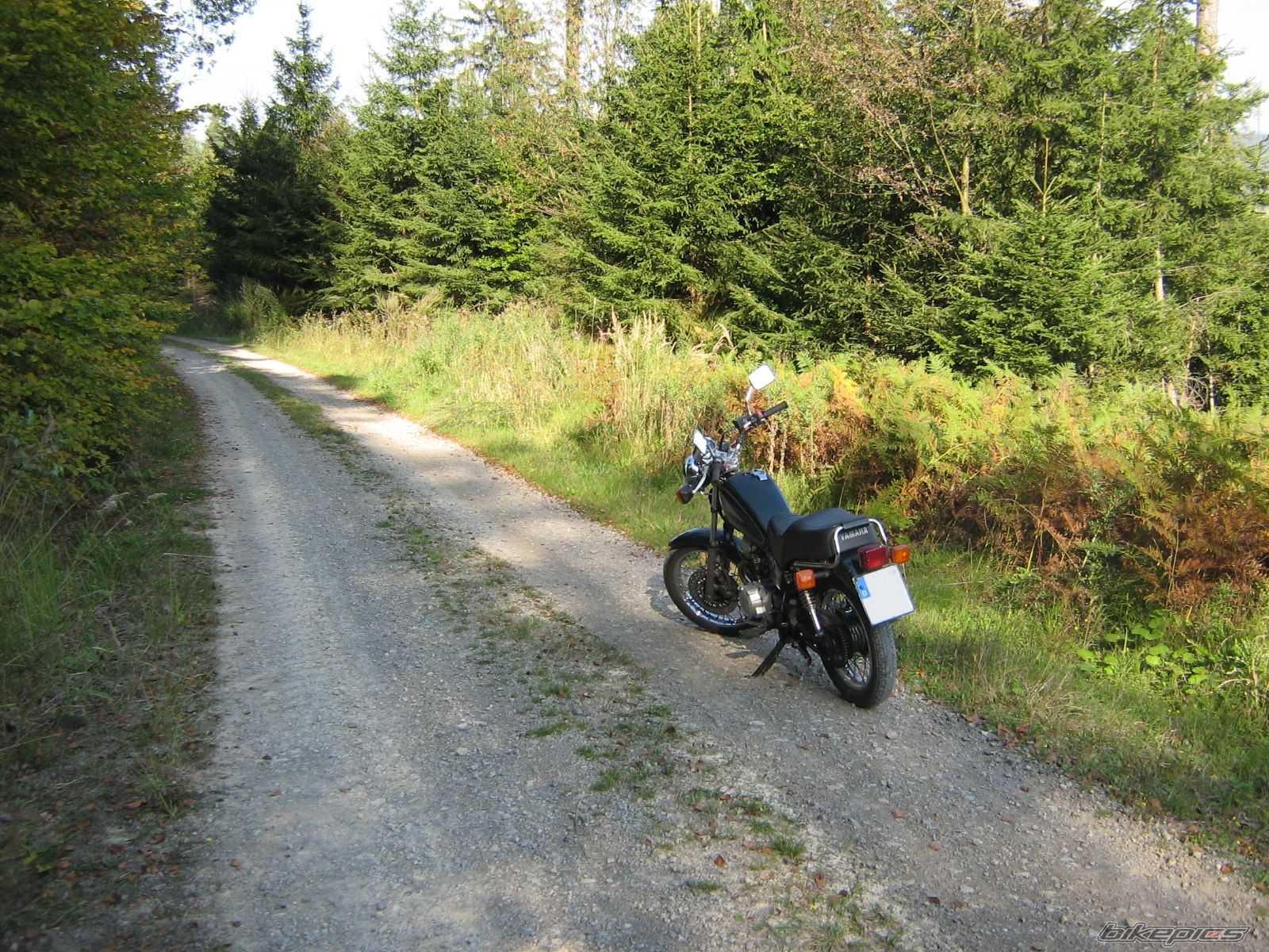 Photo 1791858