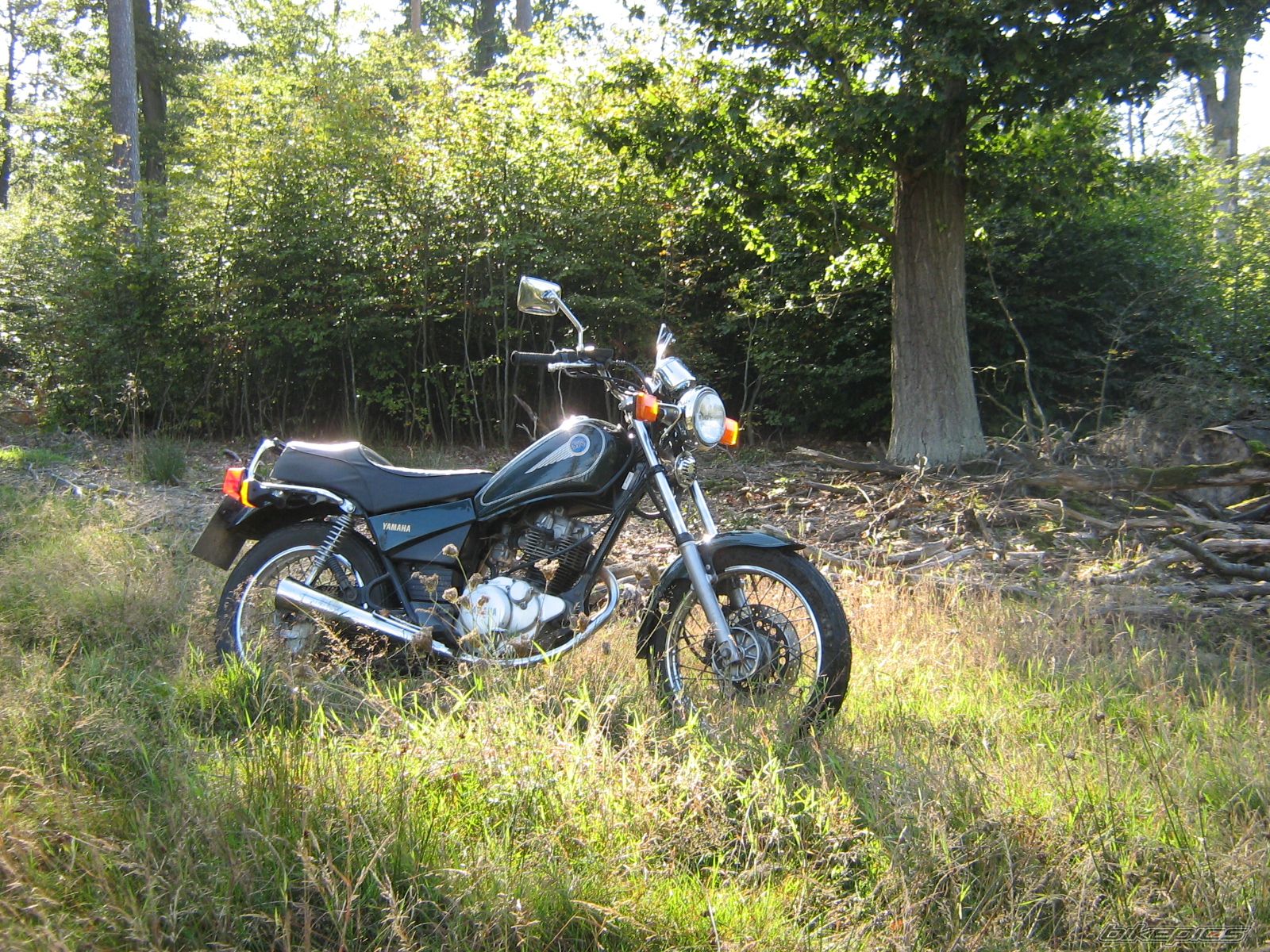 Photo 1791865