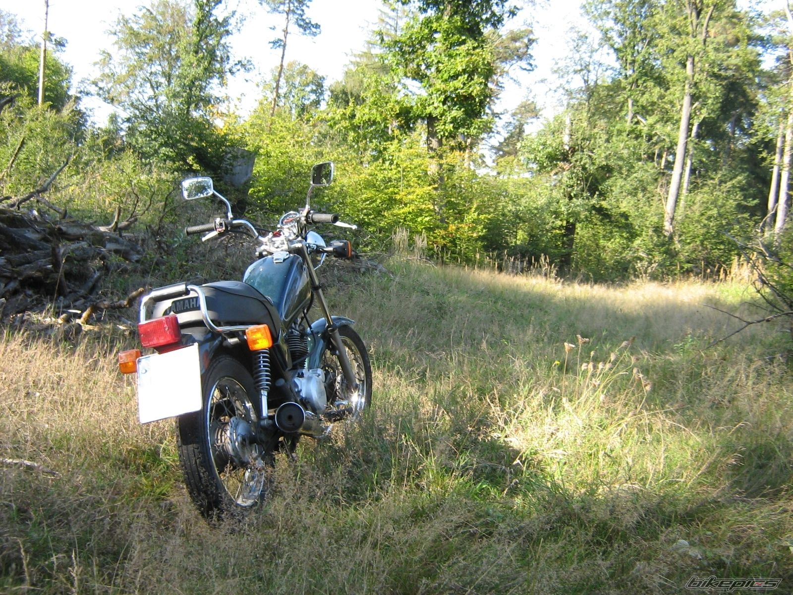 Photo 1791867