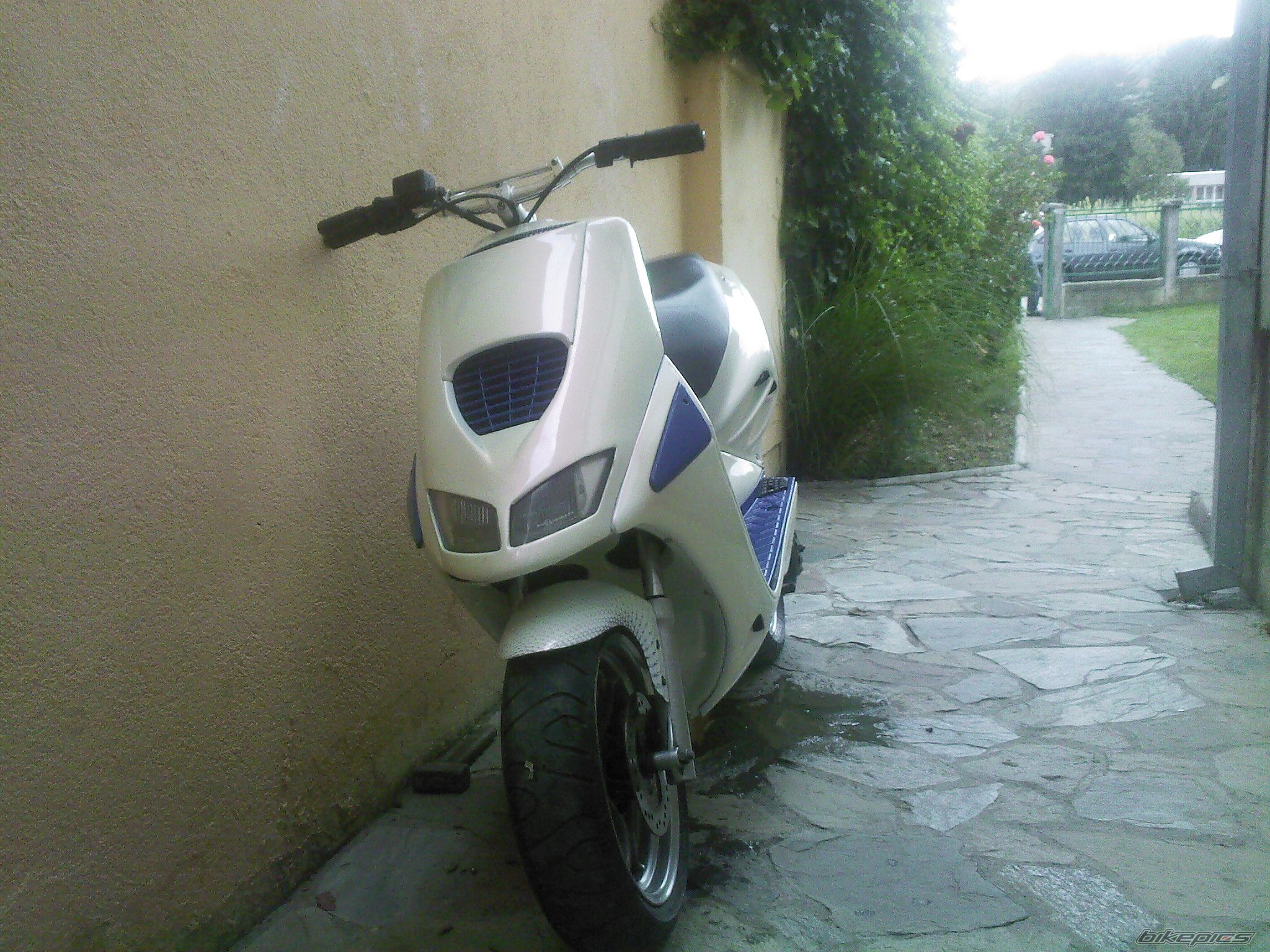 Photo 1791962
