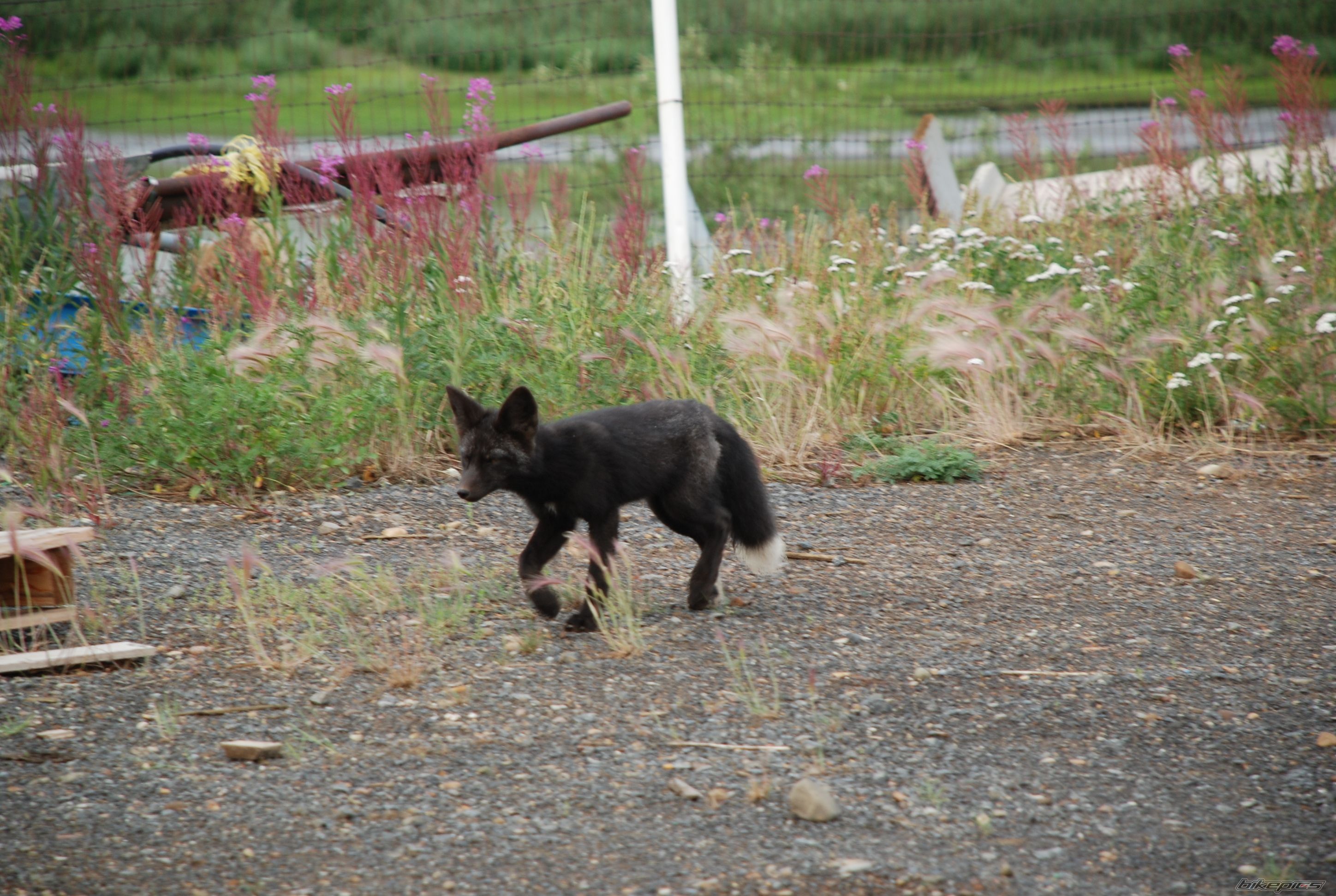 Photo 1792004