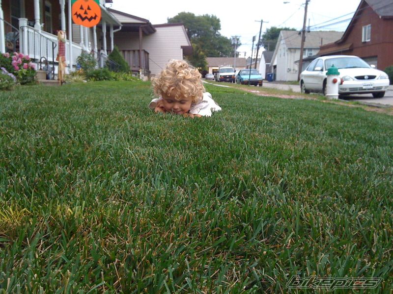 Photo 1792134