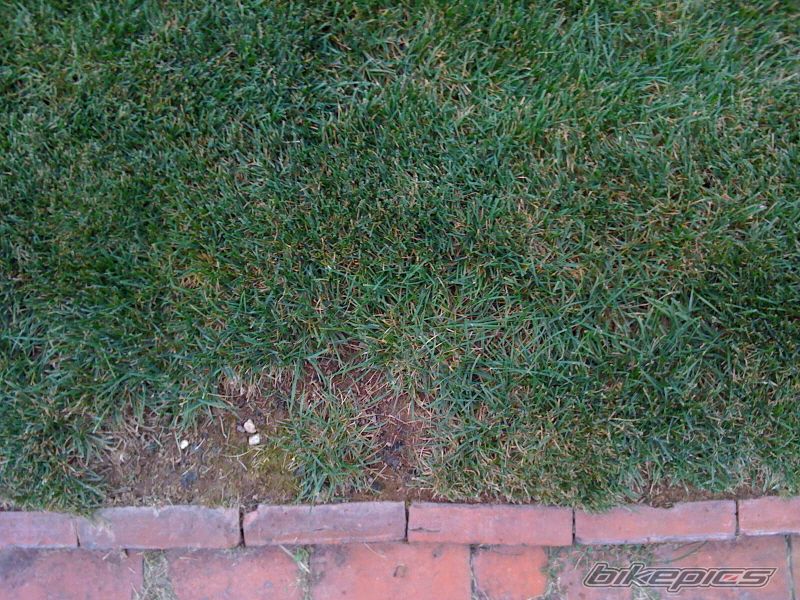 Photo 1792143