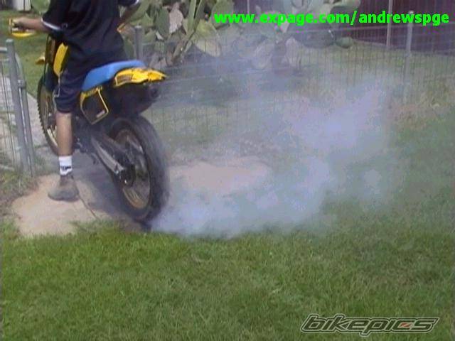 Photo 17922