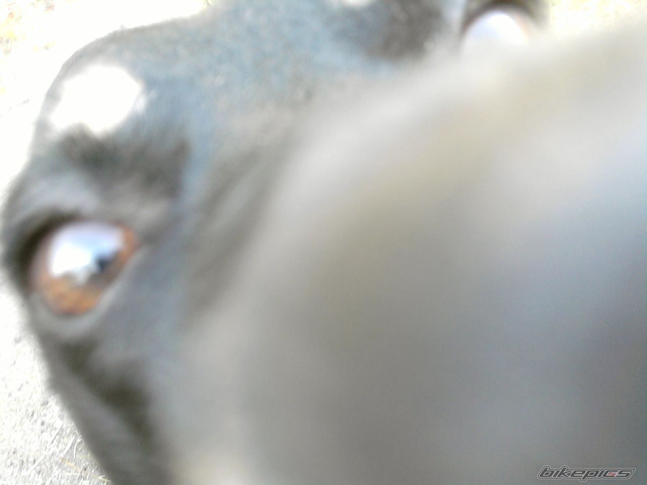 Photo 1792258