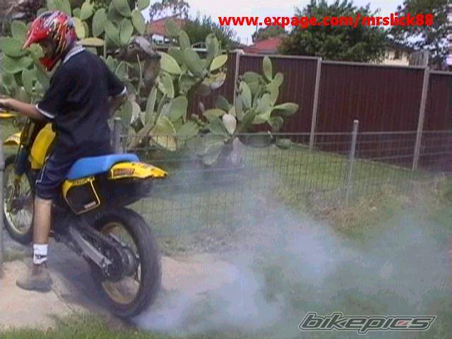 Photo 17923
