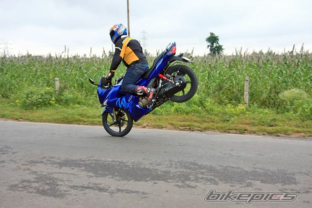 Photo 1792384
