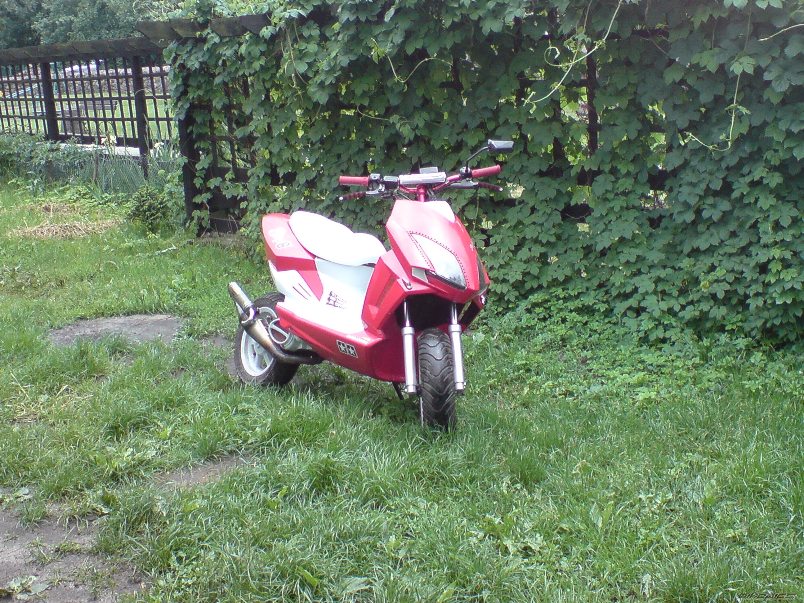 Photo 1792404