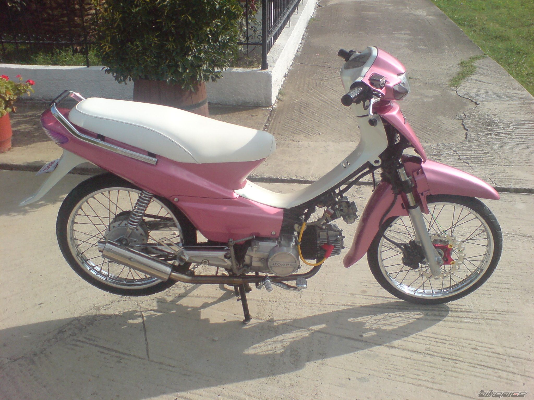 Photo 1792412