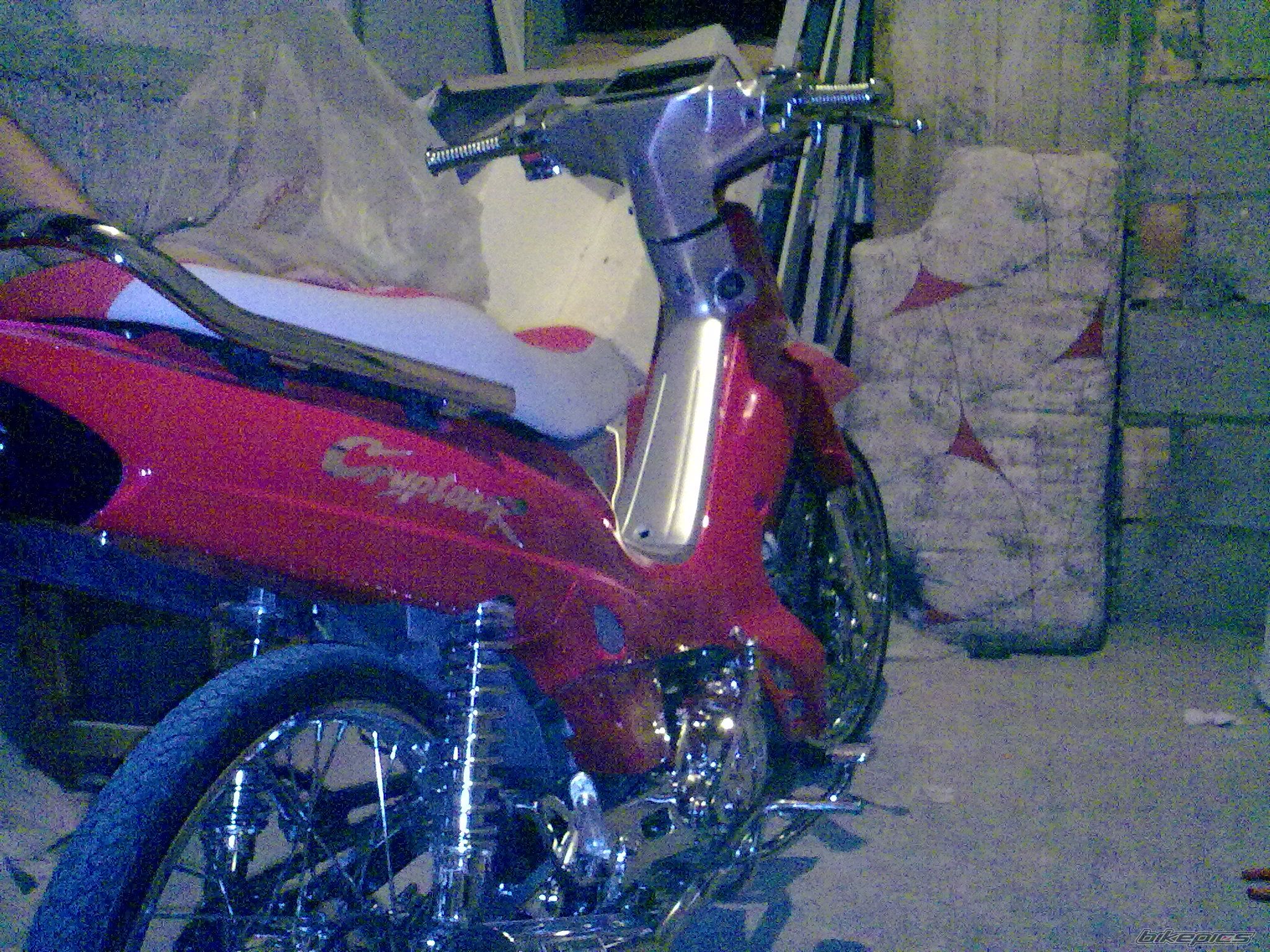 Photo 1792464