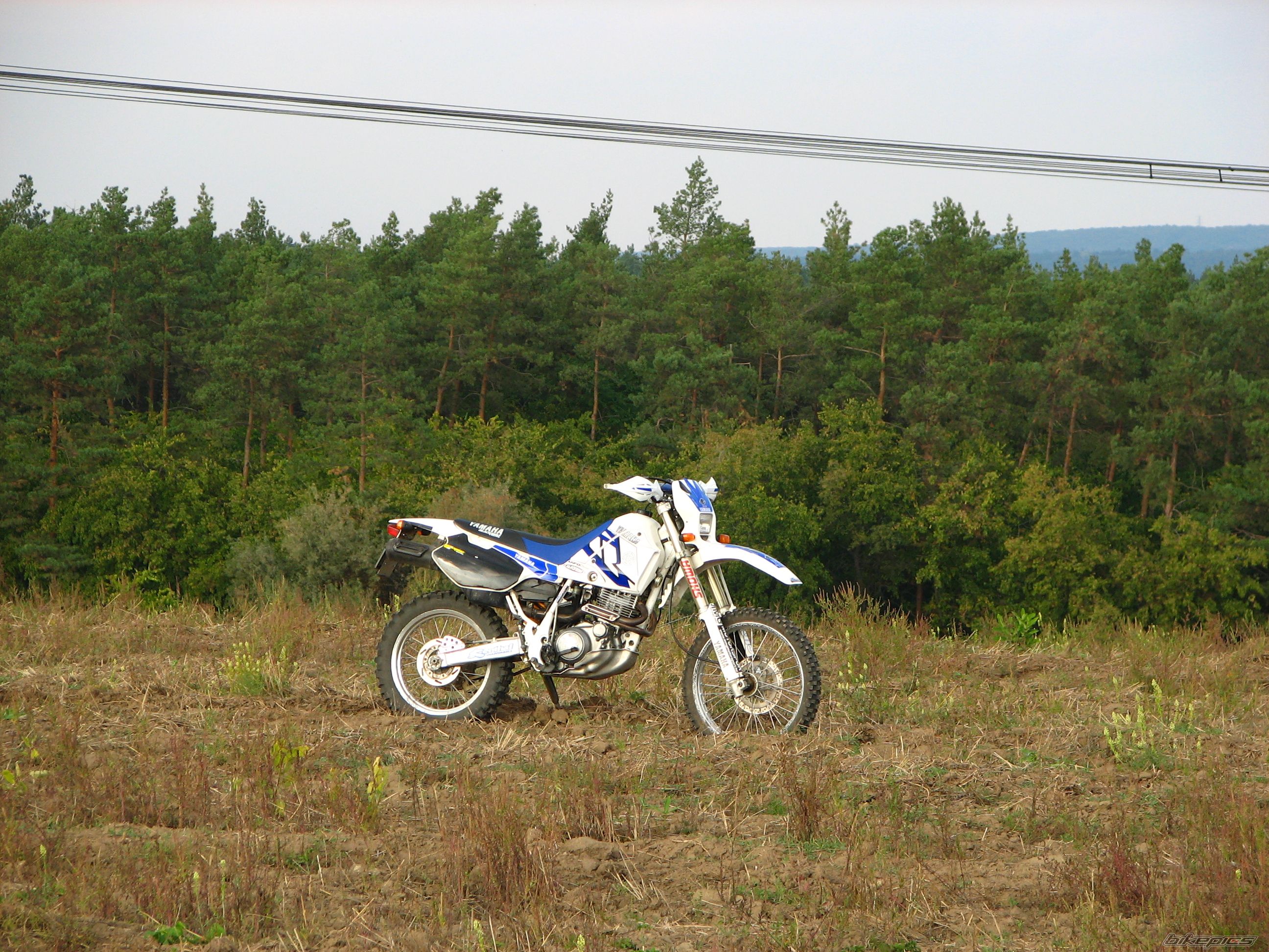 Photo 1792859