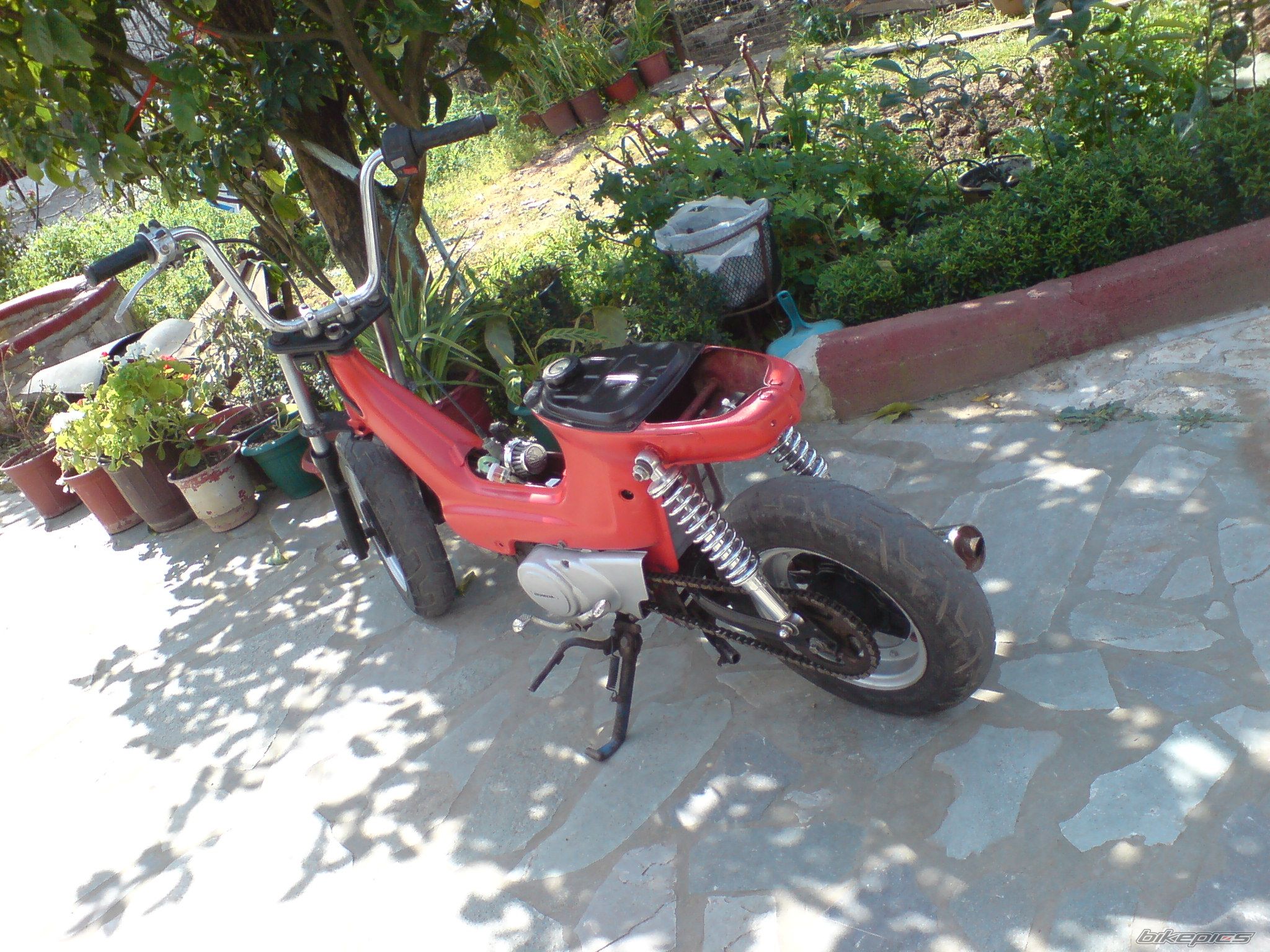 Photo 1792915
