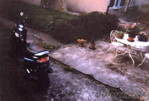 Photo 179325