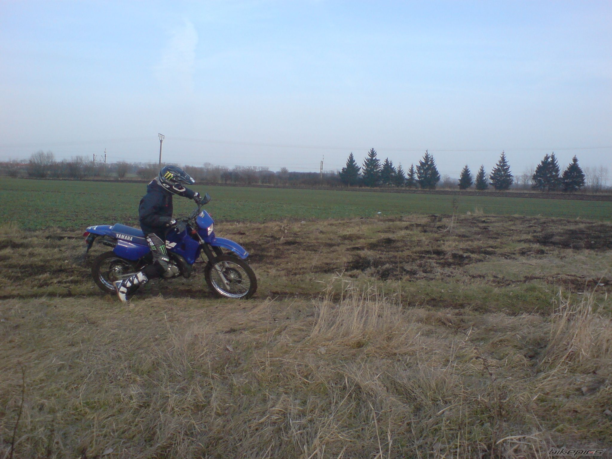 Photo 1793331