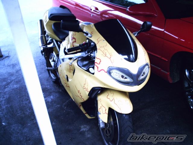 Photo 1793373