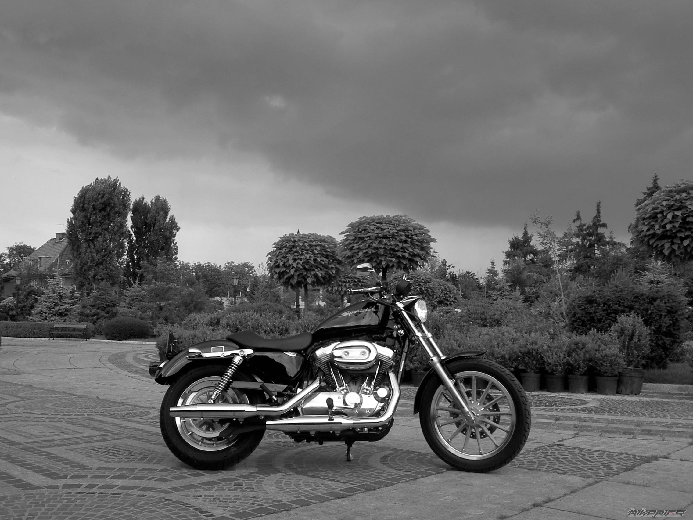Photo 179344