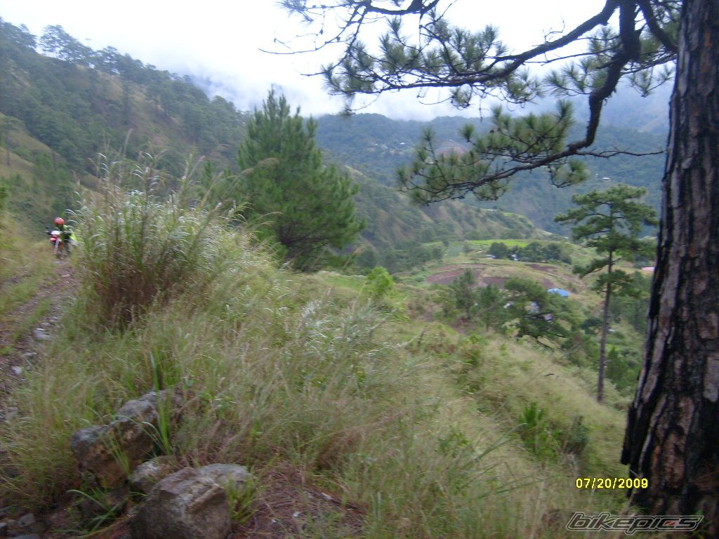 Photo 1793515